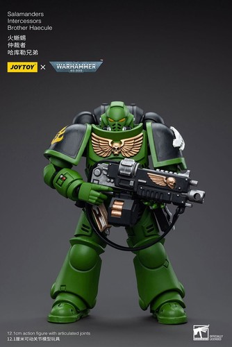 JOYTOY JT5222 1:18 Warhammer 40K Salamanders Intercessors Brother Haecule Model - Picture 7 of 12