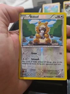 Pokémon TCG Bidoof Primal Clash 116/160 Reverse Holo LP.