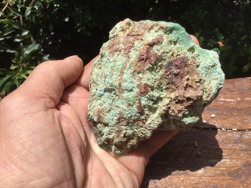 Australian Chrysoprase Specimen or Lapidary Rough - Picture 7 of 12
