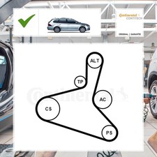 Continental Ctam Keilrippenriemensatz VW GOLF IV Variant (1J5) 1.9 TDI