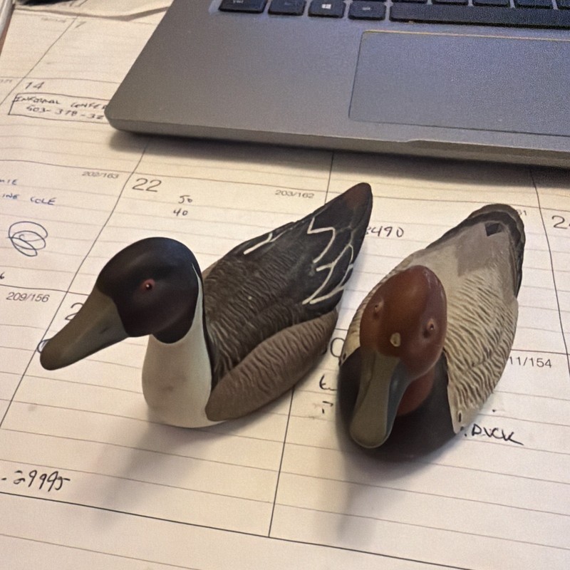 Avon Collector Duck Series Canvasback & Pintail Porcelain Figurines 1984