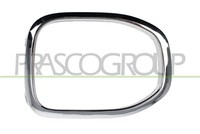 Prasco VG7501249 Rahmen, Nebelscheinwerfer FüR VW
