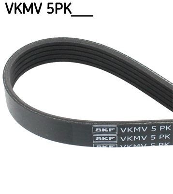 V-ribbed Belt For Chevrolet AVEO Lancia Y Vauxhall SIGNUM VECTRA 71719559
