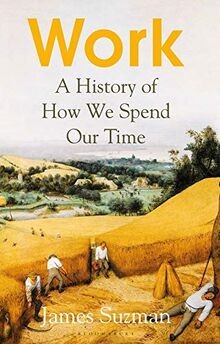 Work: A History of How We Spend Our Time von Suzman, James | Buch | Zustand gut