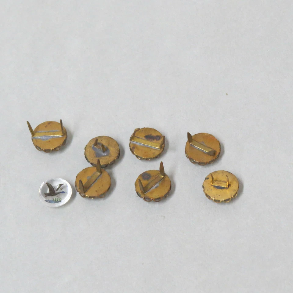 Cabujones de vidrio antiguos/vintage - Patos - Respaldos de latón con puntas - Juego de 7 (+1) Foto 3 de 3