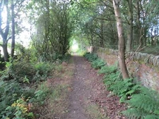 Photo 6x4 Track From Carr Lane To Carr Lodge Farm Penistone Looking south c2015