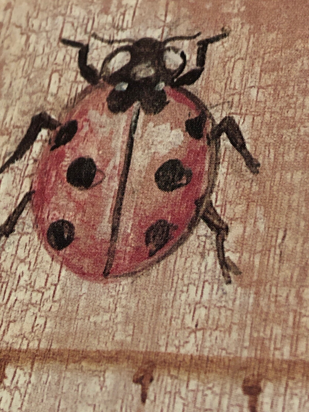Picture 3 of 8