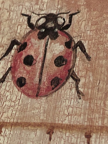 Vintage Framed Ladybug Original Drawing Insects Bug 6.5”x6.5” & 3”x3” Lot Of 2 - Picture 3 of 8