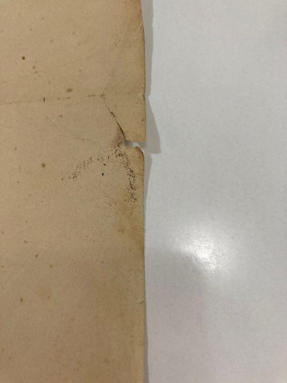 Picture 4 of 6
