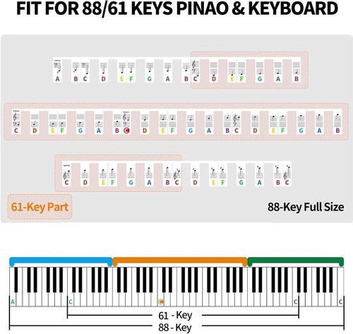 Piano Notes Guide for Beginner, 88-Key Full Size - Removable Keyboard... - Picture 4 of 7
