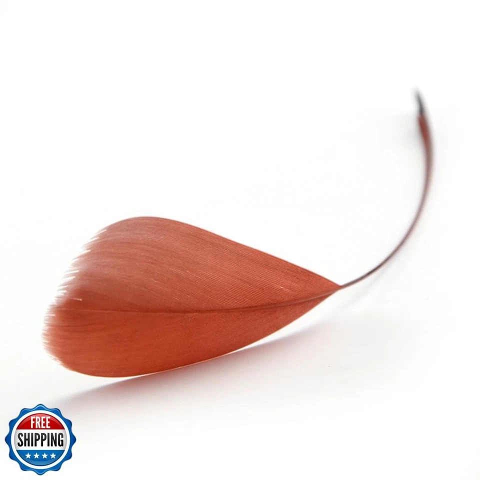 Shekyeon Goose Feather Plume Stripped Coque Feather for Clothing Hat Craft De - Image 3 of 4