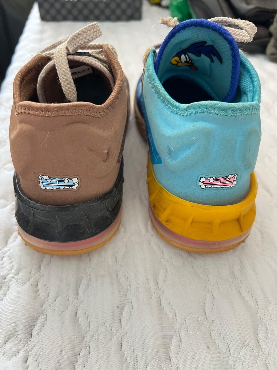 wile e coyote lebron shoes