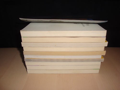 Judy Moody & Stink Series 10 Chapter Lot Megan McDonald AR Class Homeschool - Picture 3 of 5