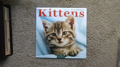 TF Publishing Kittens 2026 Calendar NEW