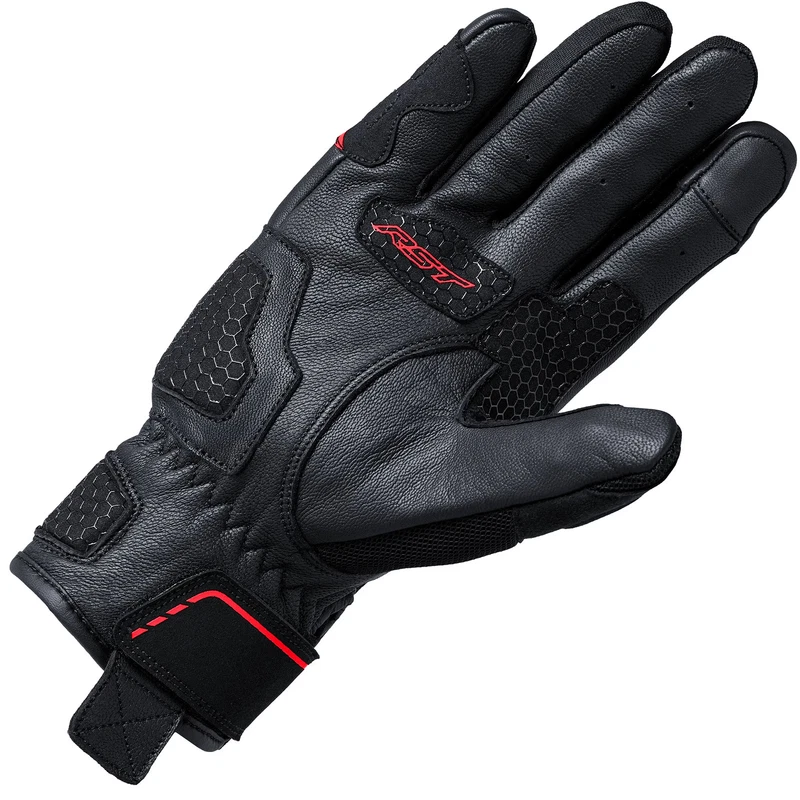 Black Red, photo 2 of 2