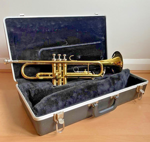 Trumpet King | eBay UK