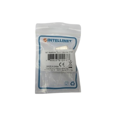 INTELLINET FTP NSMP