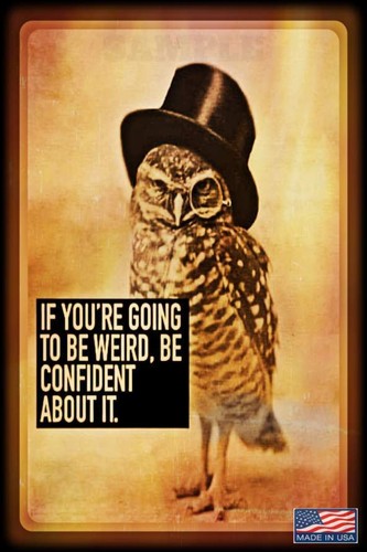 WEIRD CONFIDENT UNUSUAL! MADE IN USA METAL SIGN 8X12 INSPIRATION WISDOM SHE SHED - 第 1/1 張圖片