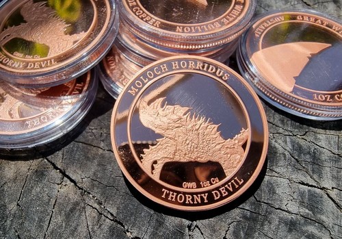 Copper Coin 1 Troy Ounce - Great White Bullion - Australian Thorny Devil - Picture 3 of 5