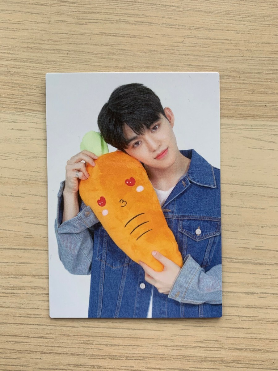 SEVENTEEN 2019 Haru Japan Tour official photo card (select