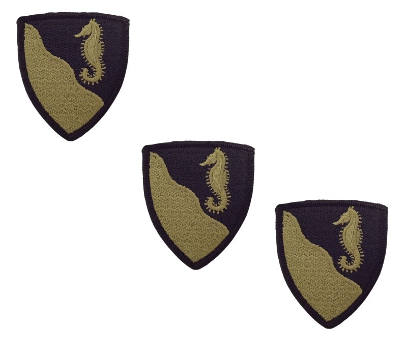 36Th Engineer Brigade Ocp Hat Patch Cap Army Veteran Pin Up Wow