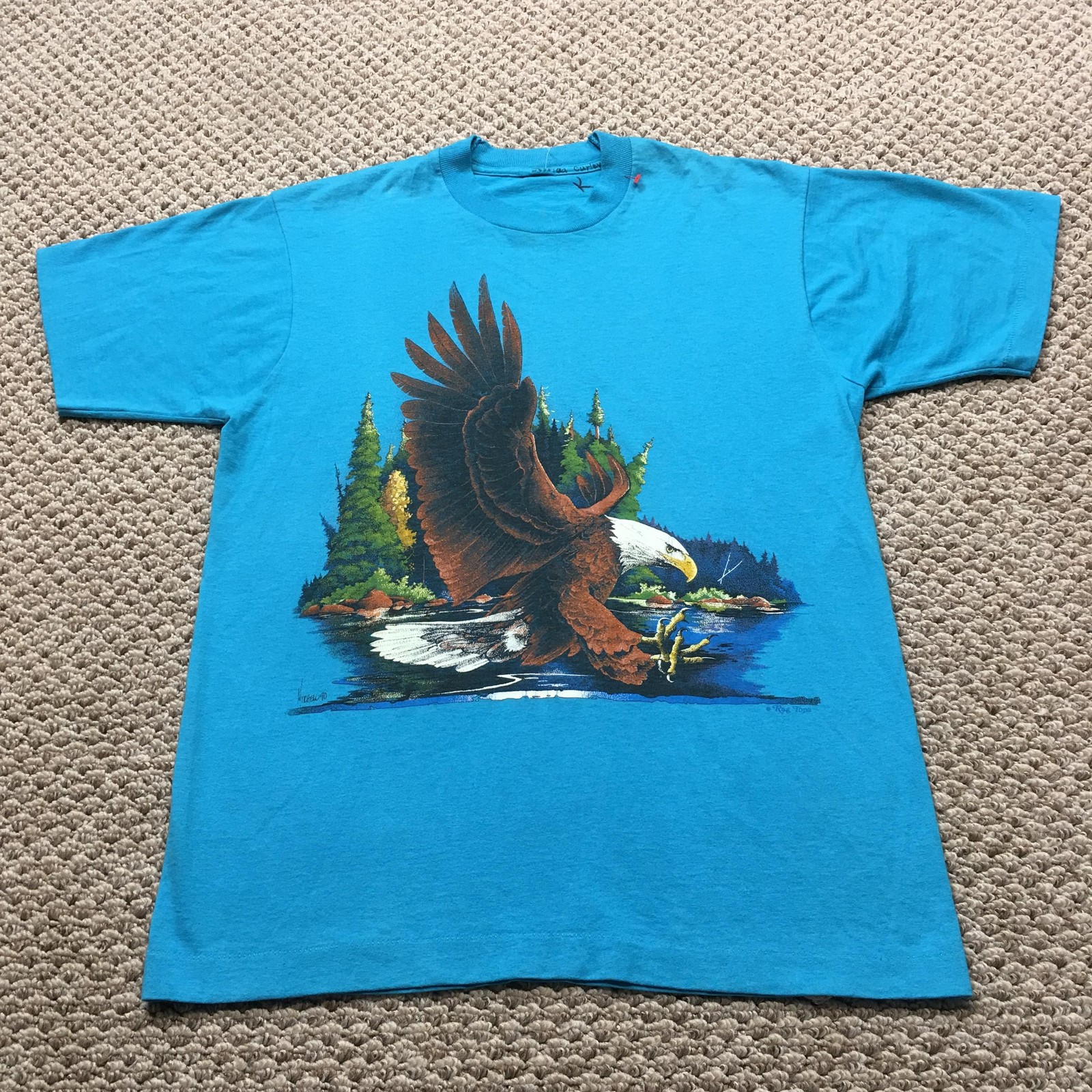 Picture 1 of 10
