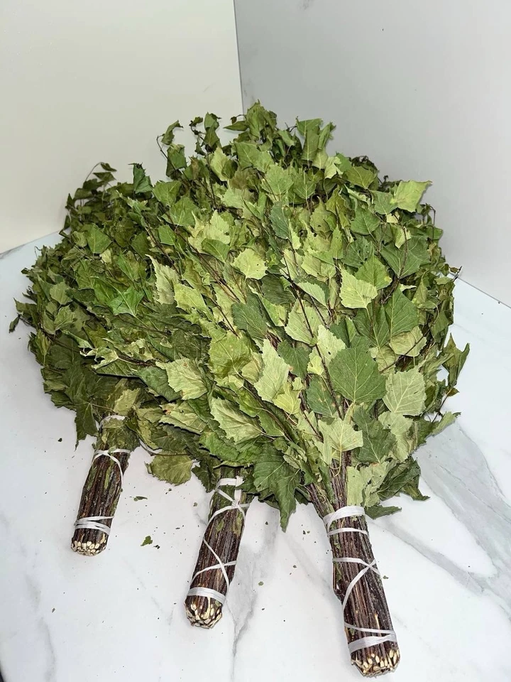 12 Birch brooms NEW SEASON 2025 sauna banya venik Eiche whisks eco Ukrainian - Image 2 of 4