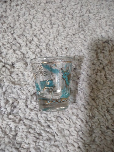 Silver Springs Florida Shot Glass Teal And Gold Print With Deer - Picture 2 of 6