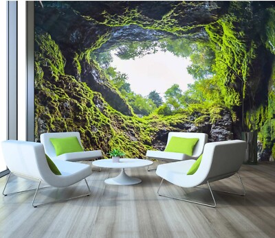 3D Cave Sky E2740 Wallpaper Mural Paper Wall Print Indoor Murals CA Honey