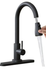 Kitchen Faucet with Sprayer Pill Down Matte Black