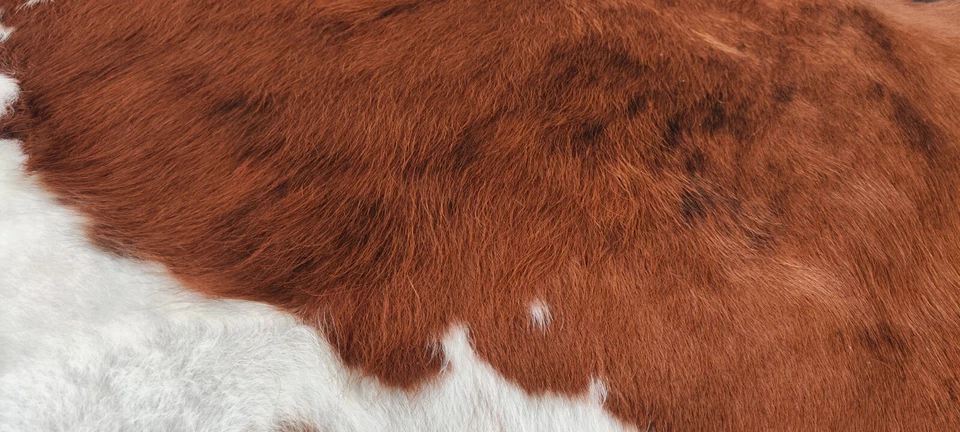 Cowhide Rug Tricolor High Quality Hair on Hide Size: Medium(M)AX140 - Image 4 of 4
