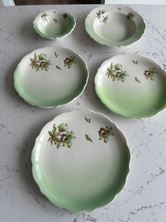 Union Pacific Railroad Syracuse Desert Flower China Set of 5