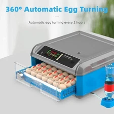 Dual Electric 110V/12V 128 Eggs Incubator Automatic With Eggs Turning And Humid