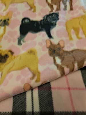 Pugs blanket