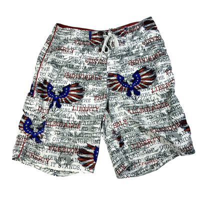VTG Mens Giant Enterprises Tag Board Shorts Red Gray Blue Eagle USA Patriotic 34