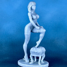 Resin Tabletop Miniature madam. mistress. Toy Soldiers 60