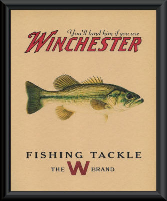 largemouth bass care