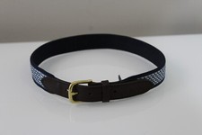 Vineyard Vines Blue Micro Whale Print Canvas Belt Youth 28 Leather Brass Buckle