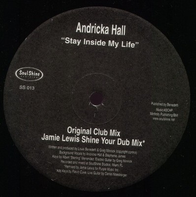 Andricka Hall - Stay Inside My Life (12'') (Near Mint (NM or M-)) - 3843256498