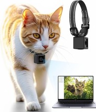 Cat Camera Collar 1080P HD Video Recording Pet POV Cam, NO WiFi NO APP, Mini Act