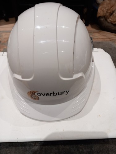 JSP EVO3 Premium belüfteter Schutzhelm Comfort Liner Standard Schirmhut - Bild 5 von 13