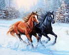 Bild 9 von 66