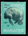 #5851 2024 Save the Manatees - Mnh
