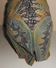 Foto 4 di 7