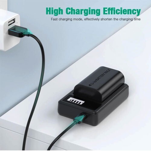 Caricabatterie Fujifilm NP-45A|Caricabatteria Per Batteria