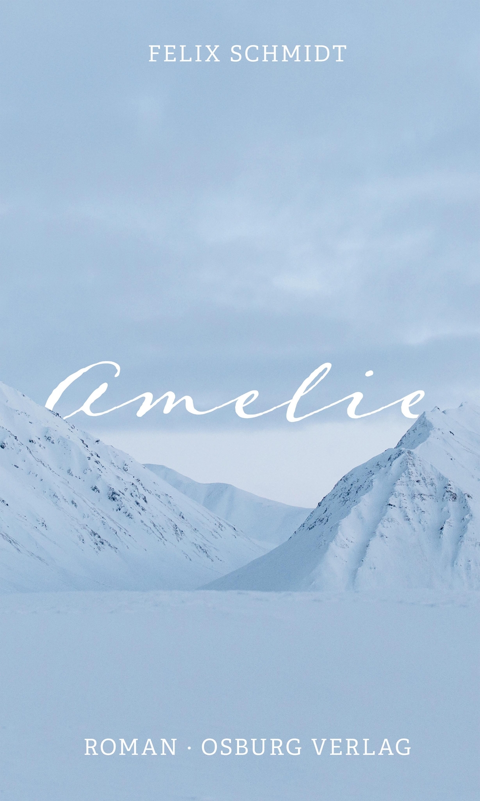 Thumbnail - Amelie Felix Schmidt Buch 180 S. Deutsch 2020 Osburg Verlag Ean