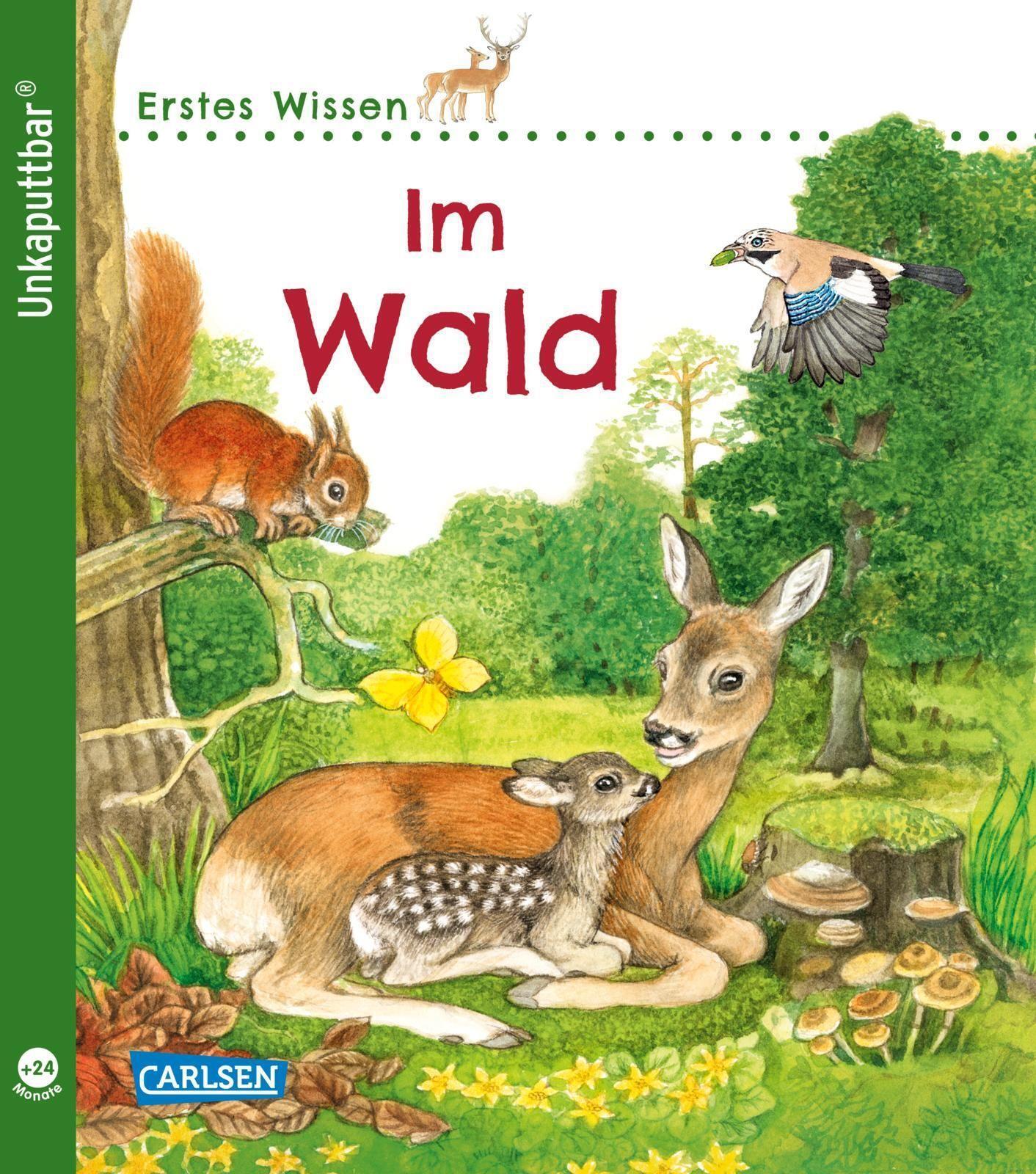 Thumbnail - Unkaputtbar: Erstes Wissen: Wald | Petra Klose | Deutsch | Taschenbuch