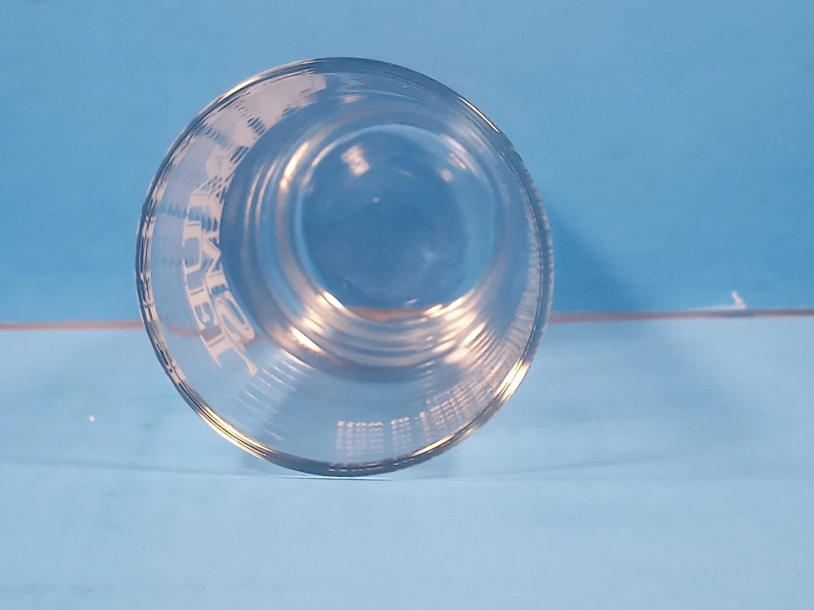 Samual Adams Step One Beer Tasting Glass Color & Clarity