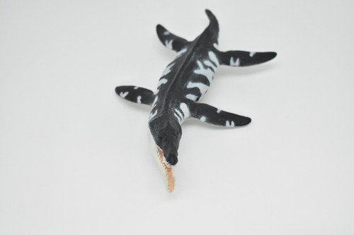 Liopleurodon, Plesiosaur, Marine Reptile, Realistic Plastic Toy Model SF02 B95 - Picture 6 of 7