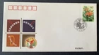 China 中国 2002 - Illustrated FDC First Day Cover